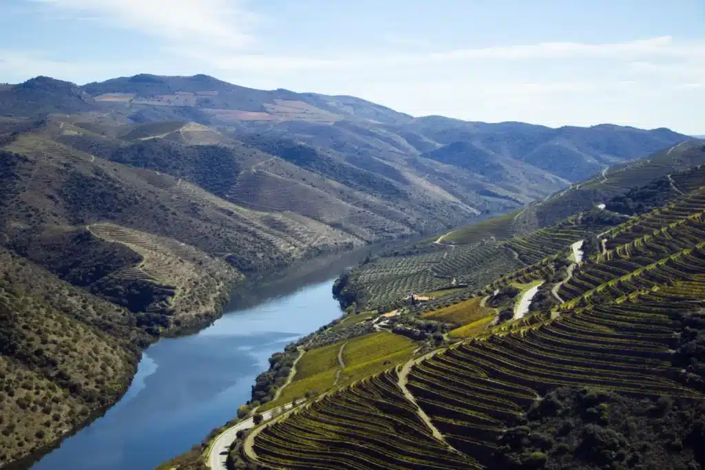 Une rivière coule dans une vallée avec des vignobles et des montagnes en arrière-plan.