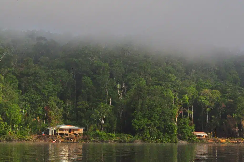 Parc Amazonien de la Guyane. Fleuve Maroni